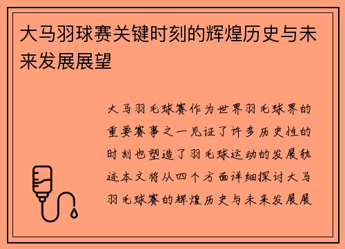 大马羽球赛关键时刻的辉煌历史与未来发展展望